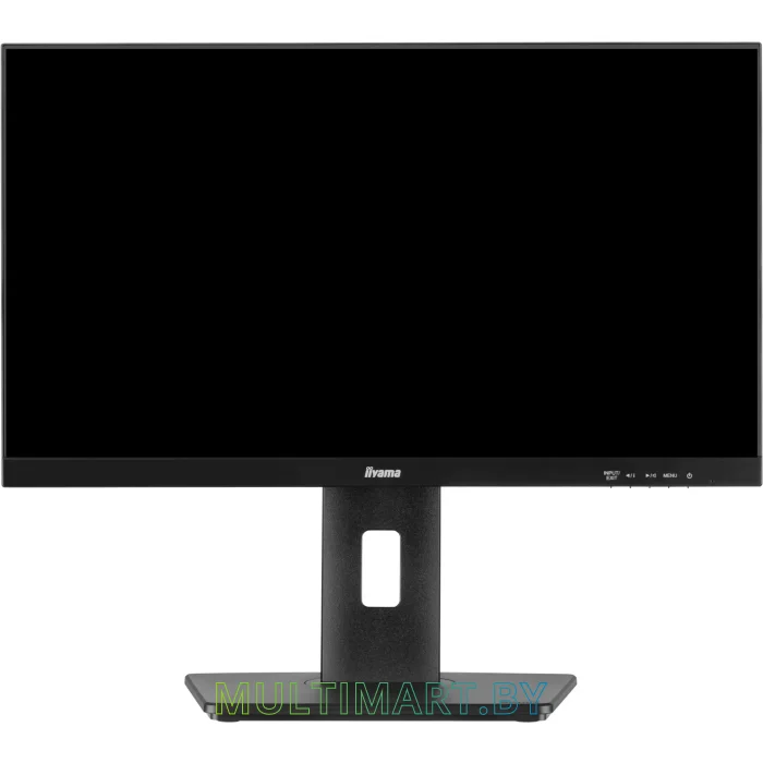 Монитор Iiyama ProLite XUB2293HSU-B6